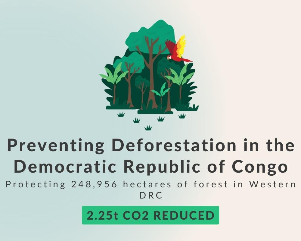 Preventing Deforestation in the Democratic Republic of Congo