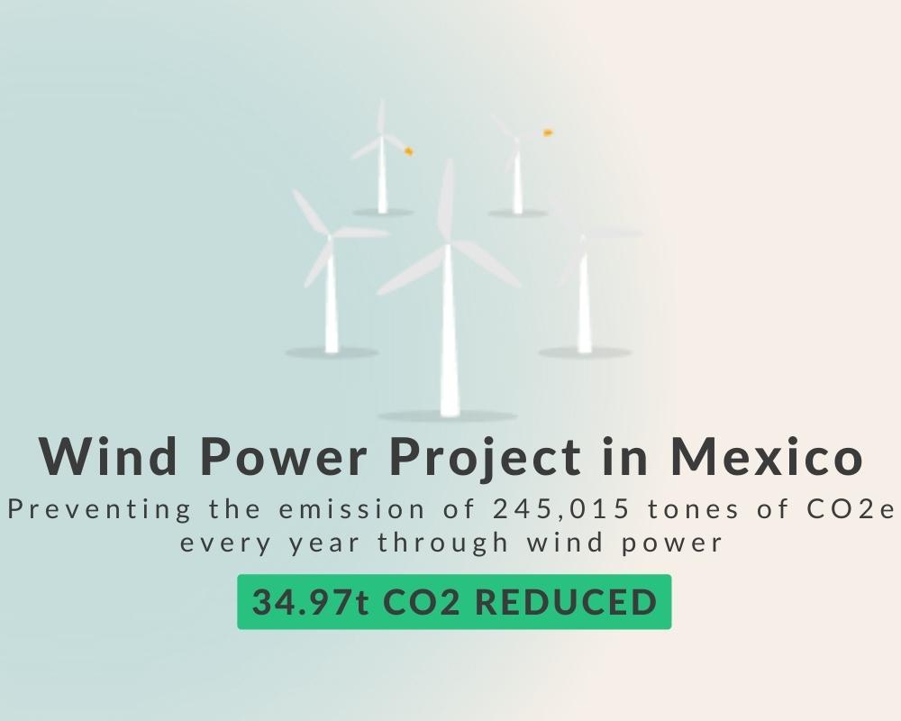 Wind Power project in Mexico